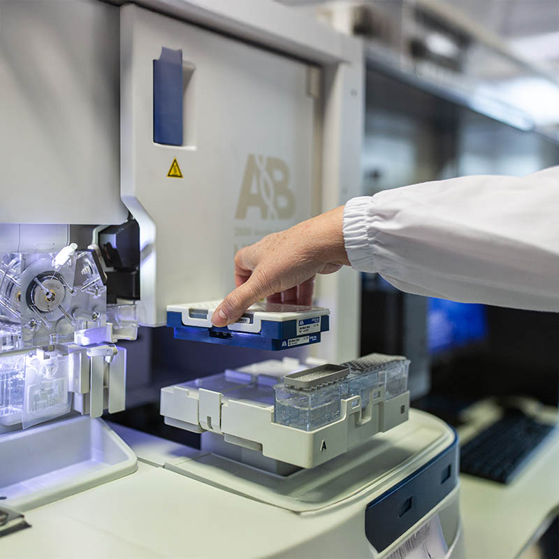 Collegio di Merito Ferrante d'Aragona all'Aquila – residenza universitaria d’eccellenza per studenti meritevoli, con servizi di alta qualità e ambiente internazionale nel cuore del capoluogo abruzzese