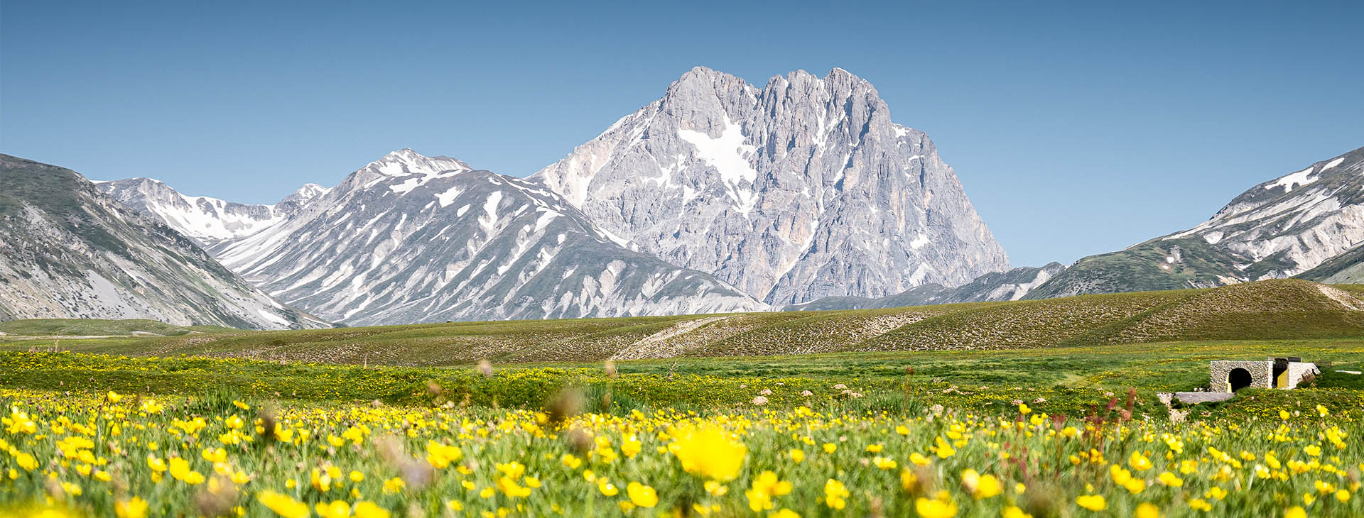 Collegio di Merito Ferrante d'Aragona all'Aquila – residenza universitaria d’eccellenza per studenti meritevoli, con servizi di alta qualità e ambiente internazionale nel cuore del capoluogo abruzzese